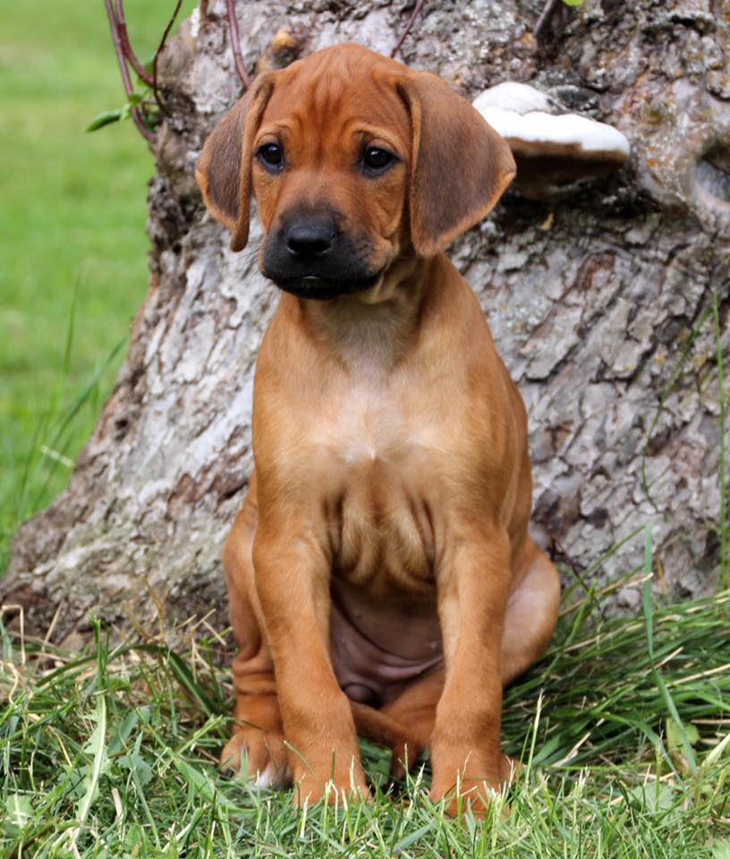 Seven weeks
